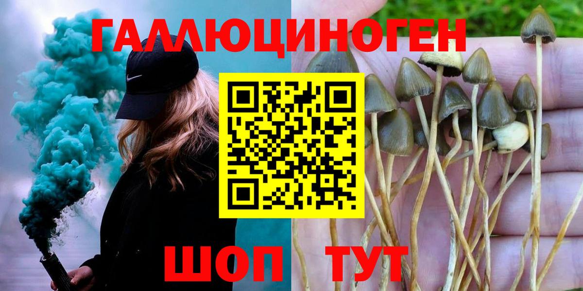 Псилоцибиновые грибы ЛСД  Вход с VPN  продажа наркотиков  Корсаков 